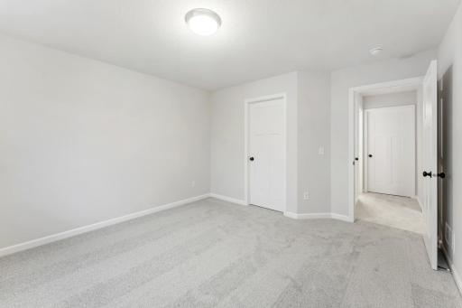 Lower Level Bedroom with Large Walk-In Closet
