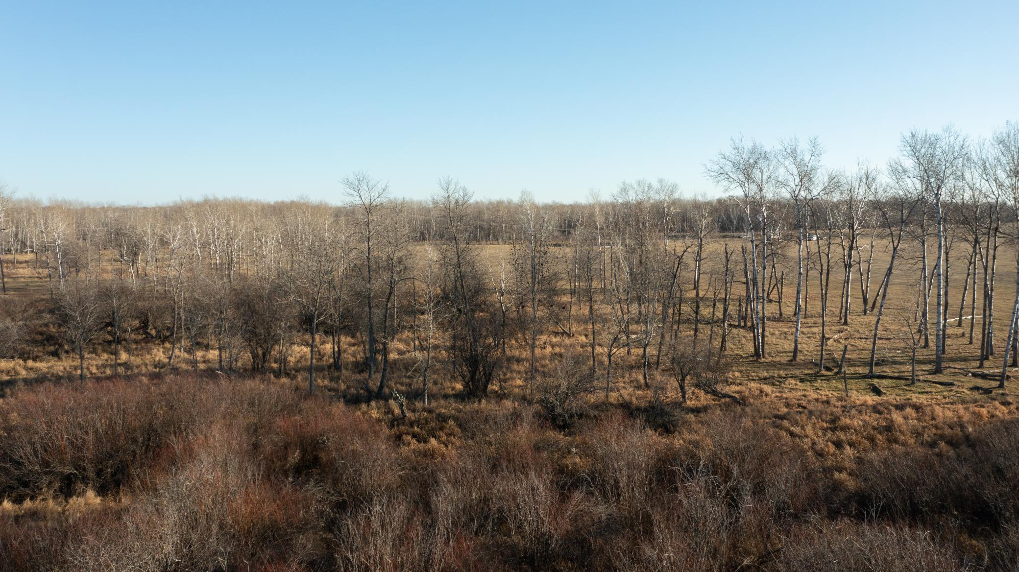 Land