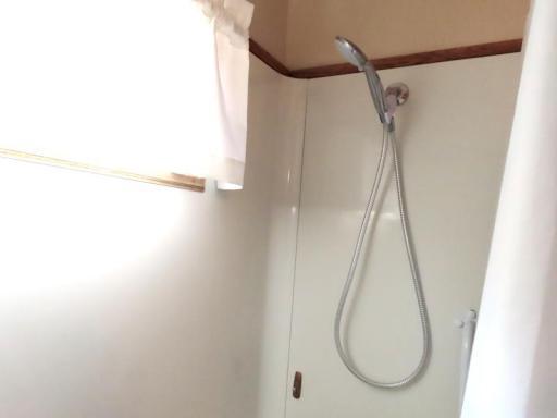 911 HAMILTON HAND HELD SHOWER.jpg