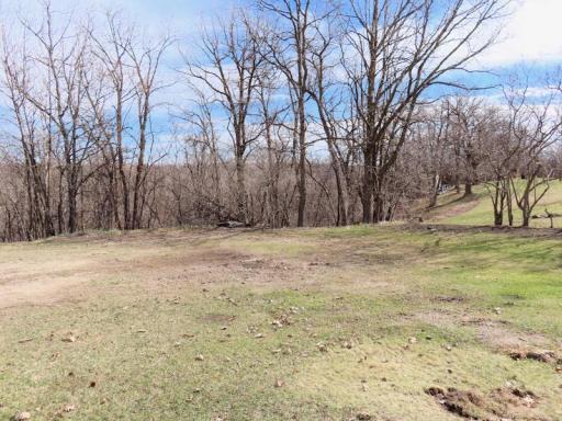 911 HAMILTON SIDE YARD.jpg