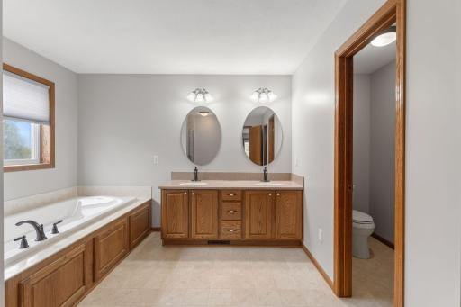343 Foster Avenue, Carver, MN 55315