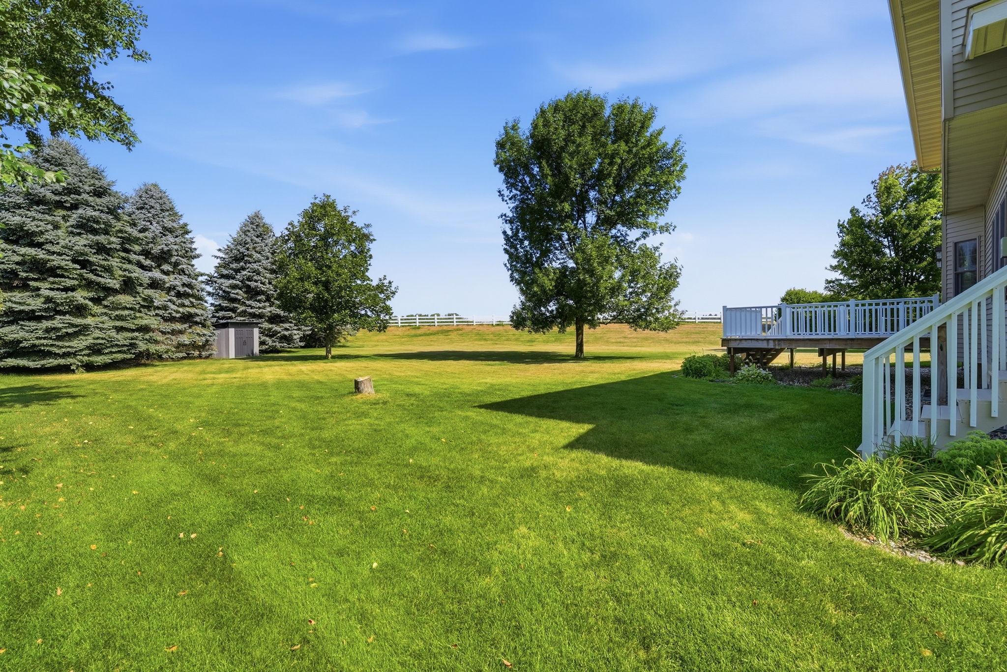 Spacious Backyard