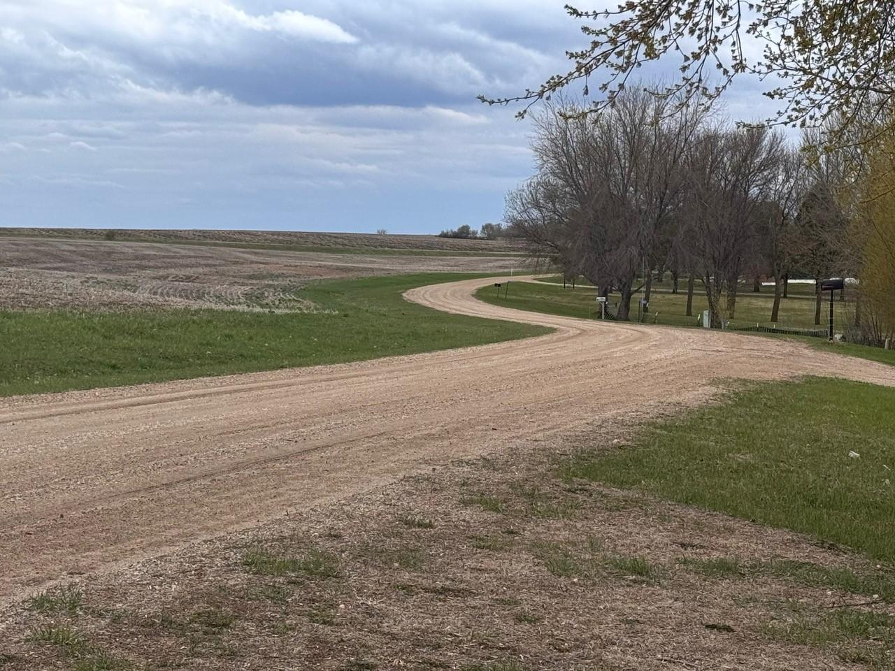 road view