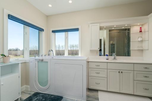 22643 Oriole Circle, Madison Lake, MN 56063