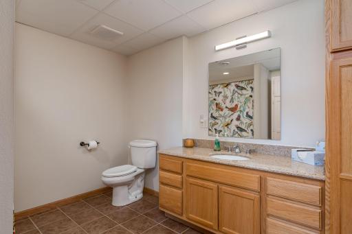 22643 Oriole Circle, Madison Lake, MN 56063