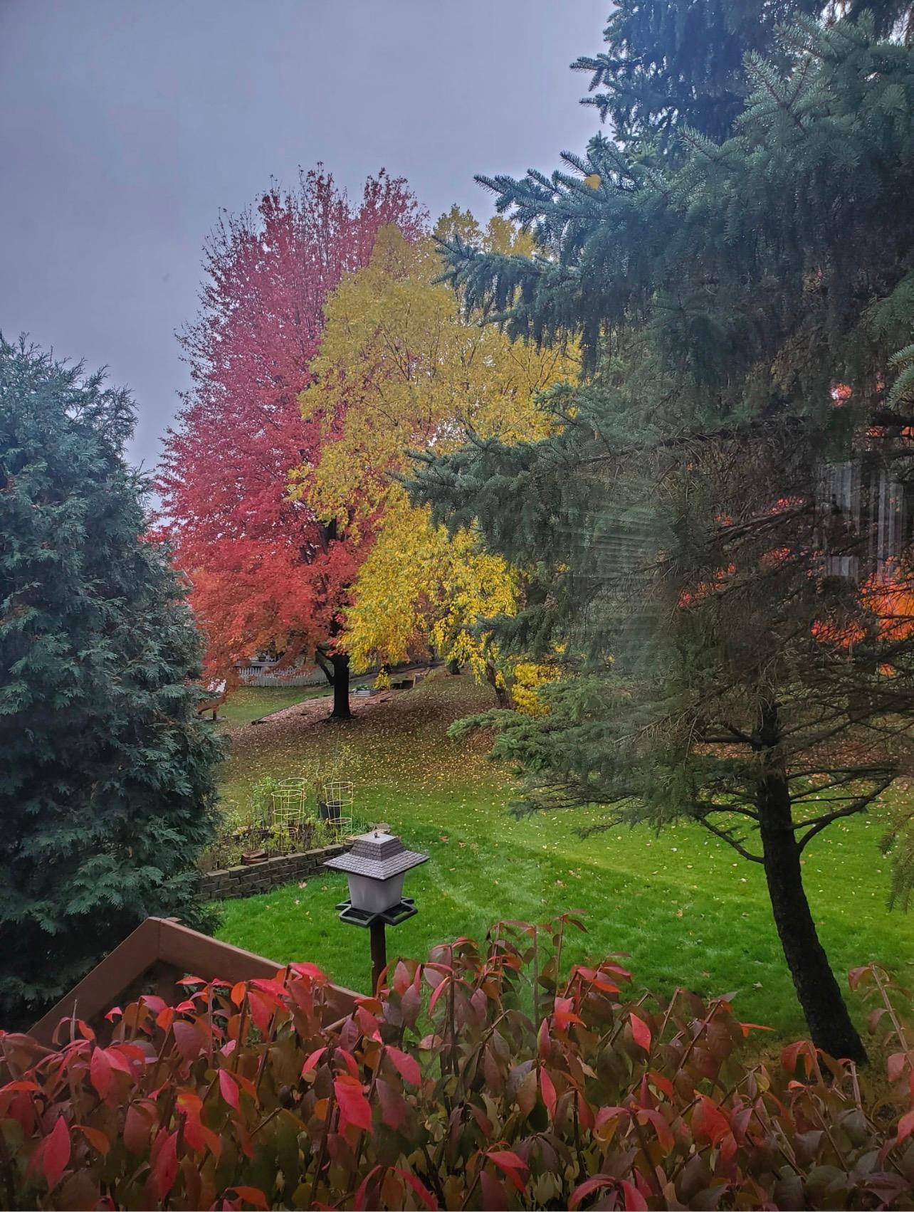 View from the kitchen window - credit seller for photo