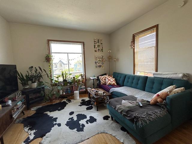 712 6th Upper LR 3 MLS.JPG