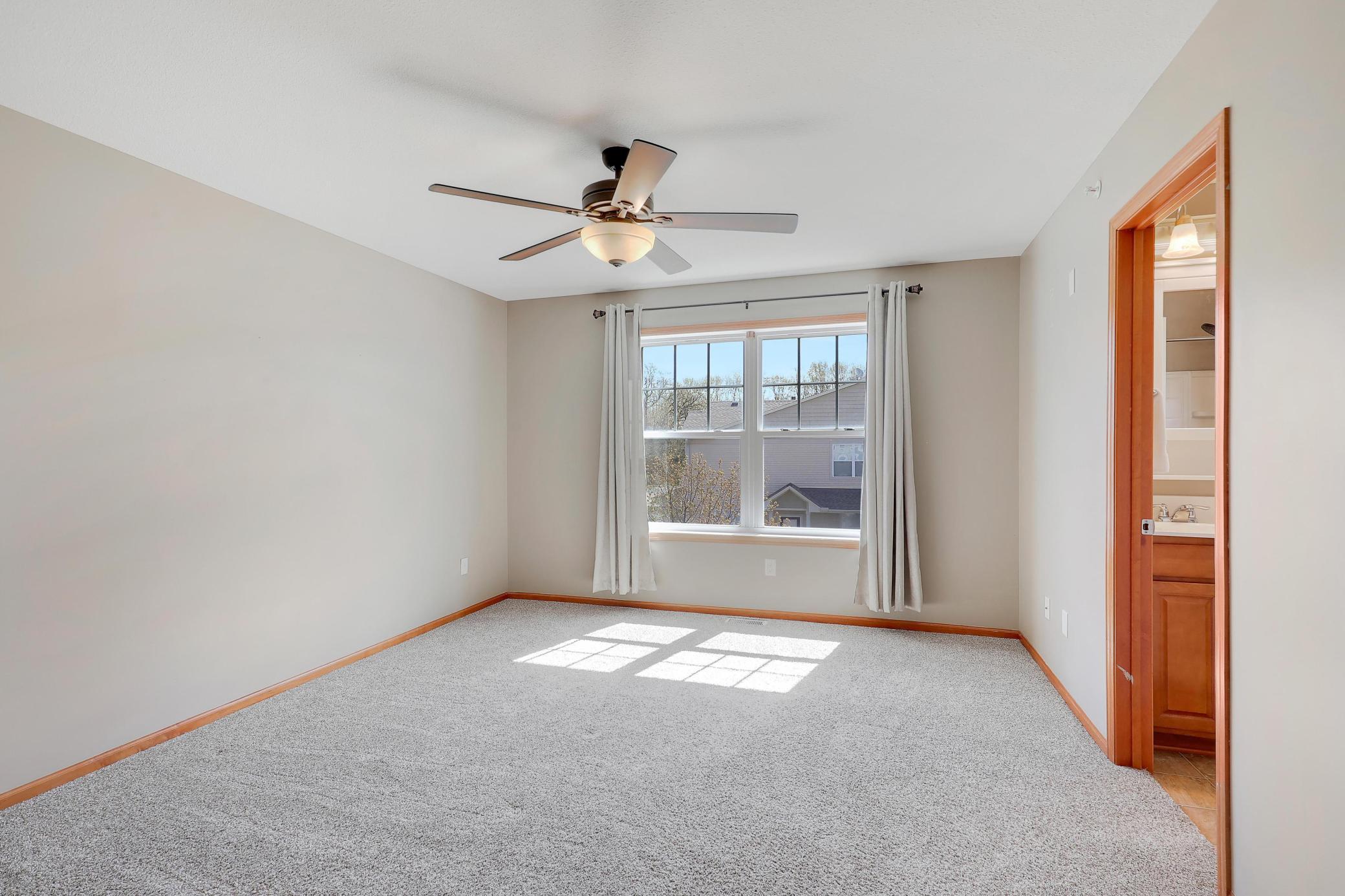 Oversized Windows & Abundant Natural Light