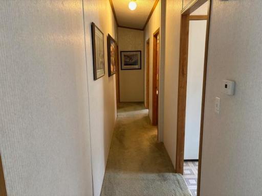 7869 Lunar Lane, Pequot Lakes, MN 56472