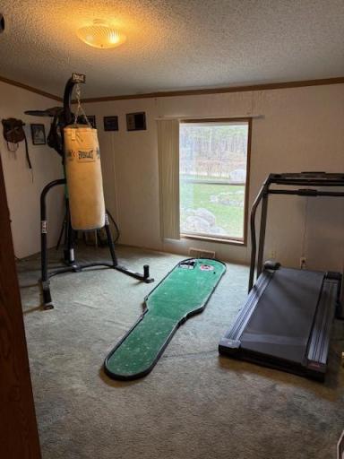 7869 Lunar Lane, Pequot Lakes, MN 56472