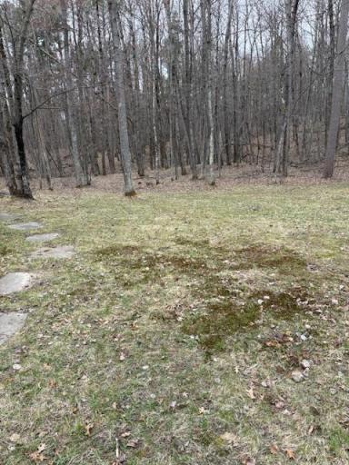 7869 Lunar Lane, Pequot Lakes, MN 56472