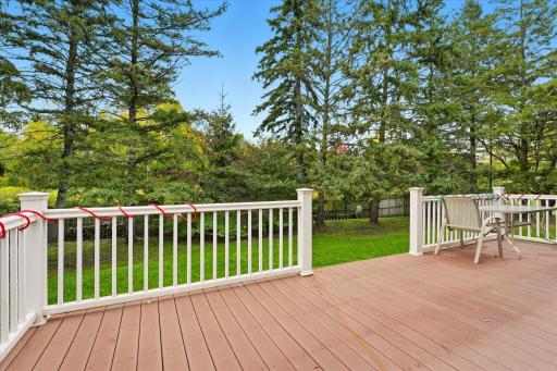 Maint-free deck means no more painting decking or railings. Private level treed backyard is great for kids and pets