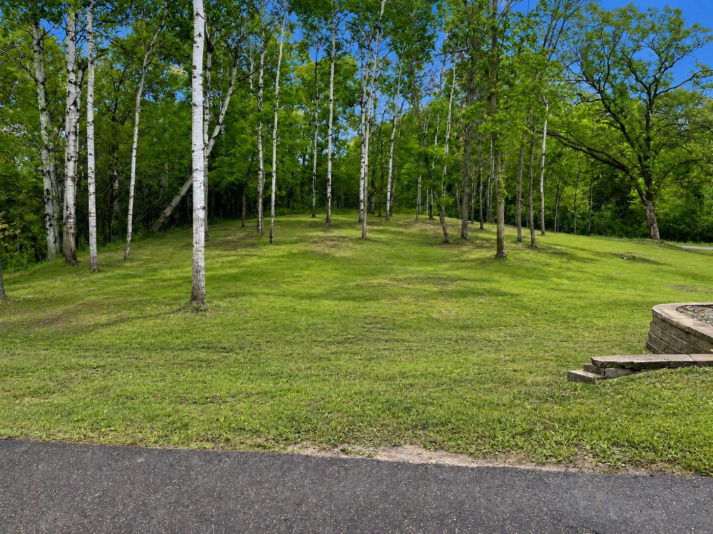 Rolling green space and beautiful birch trees create a backdrop that feels serene in every season.