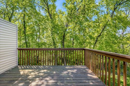 152 Pheasant Ridge Drive, Montrose, MN 55363