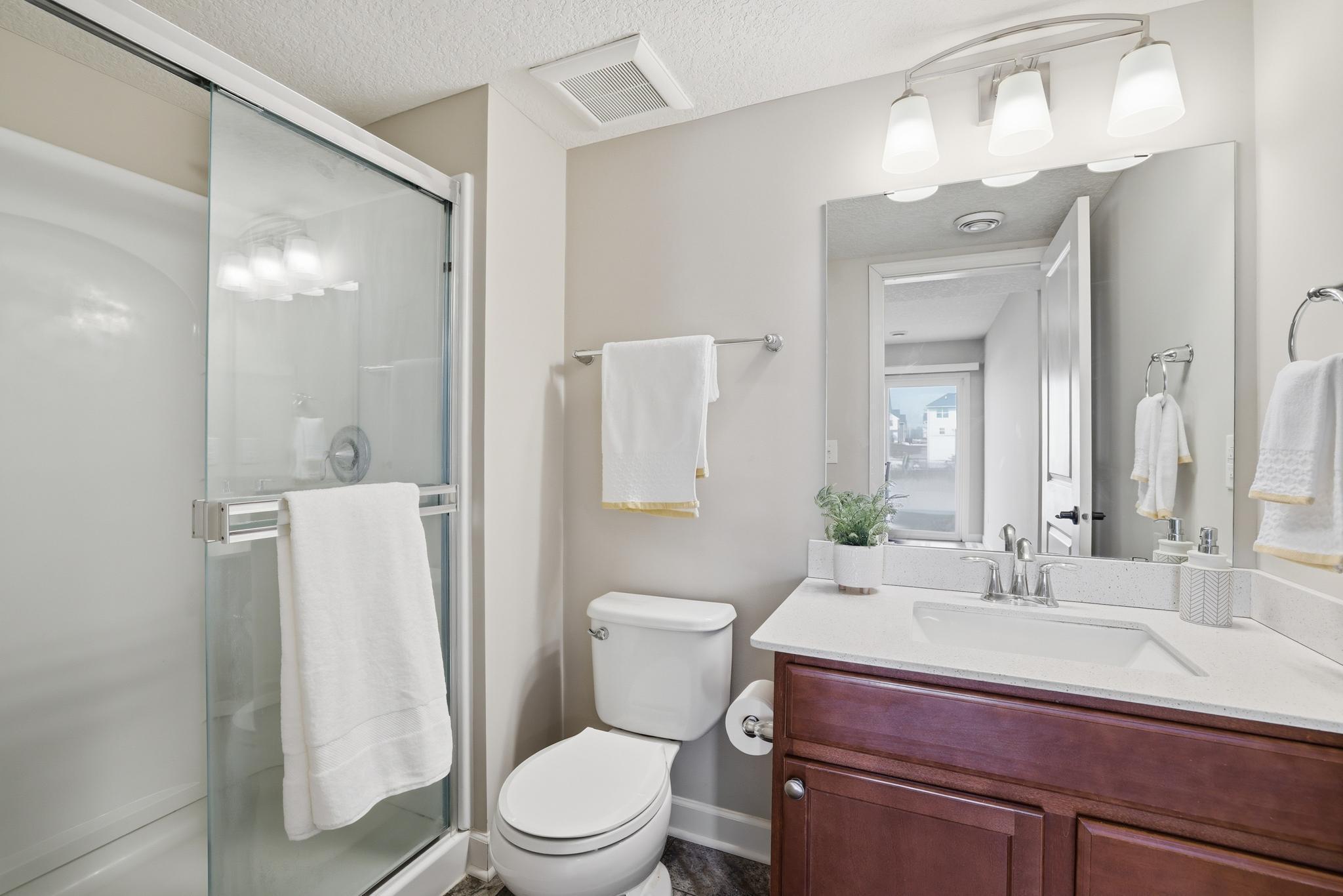 Lower level bathroom.