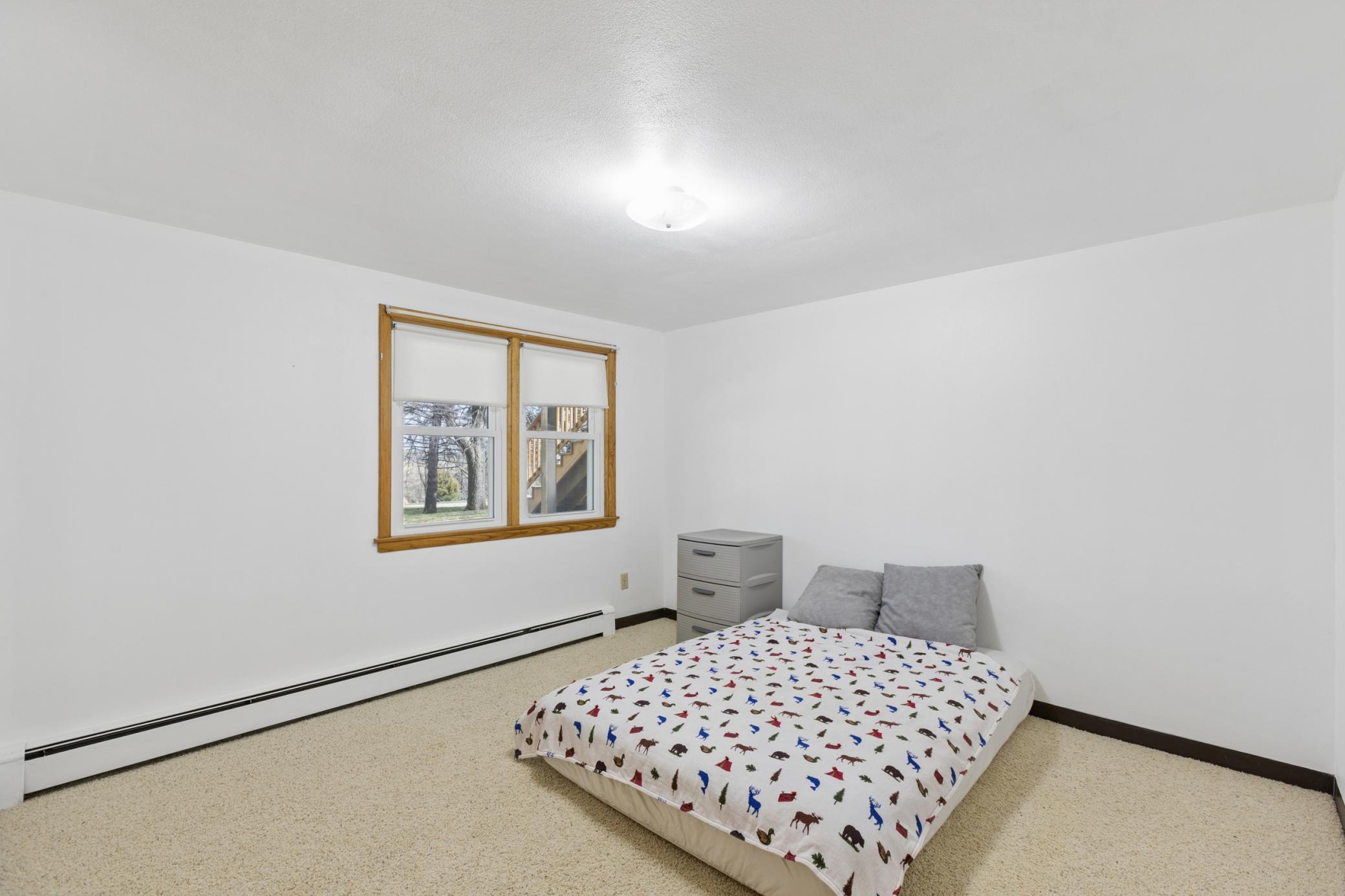 Lower level bedroom