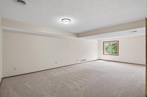 Lower level family room - wonderful space for entertaining.