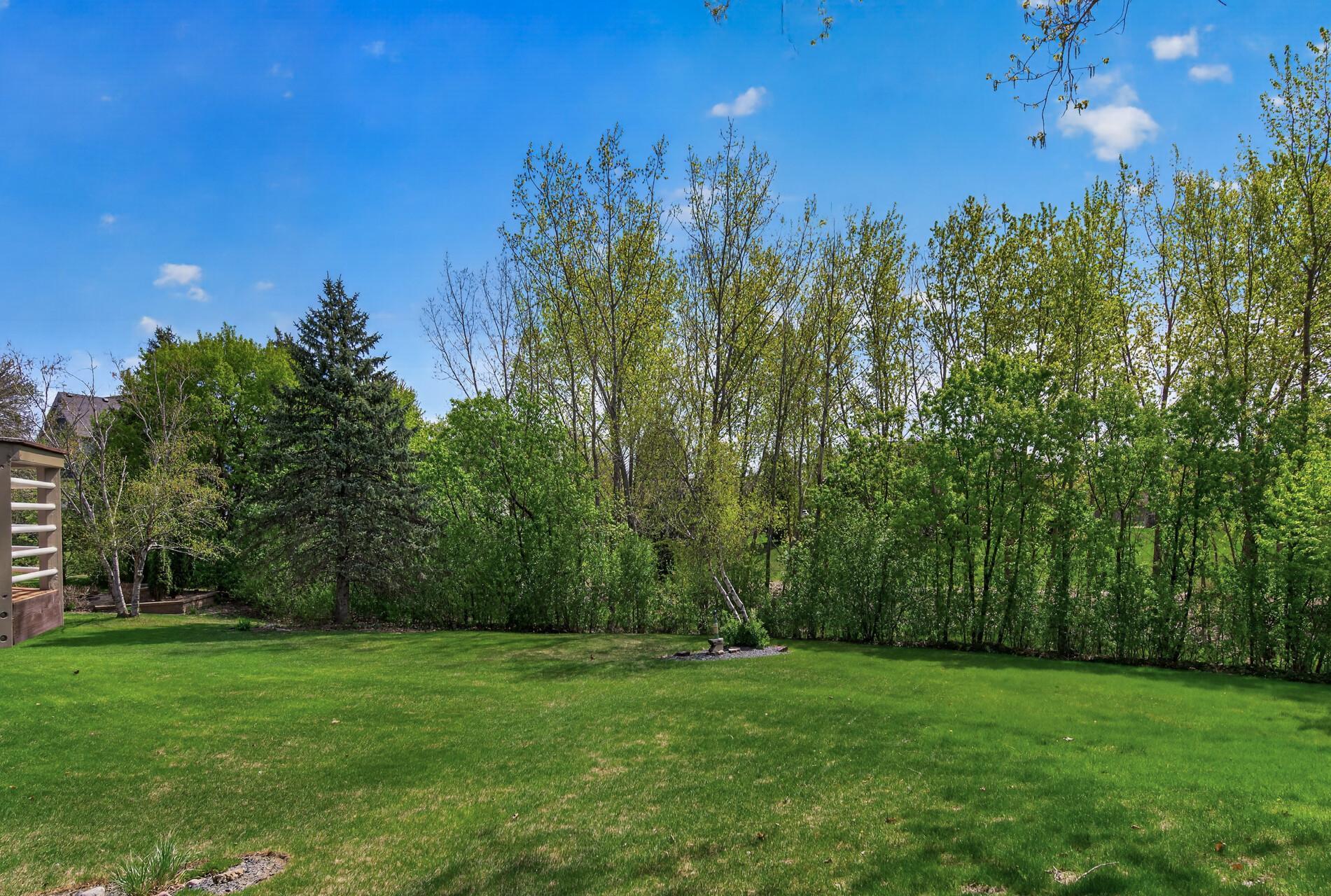 Beautiful, treed backyard.