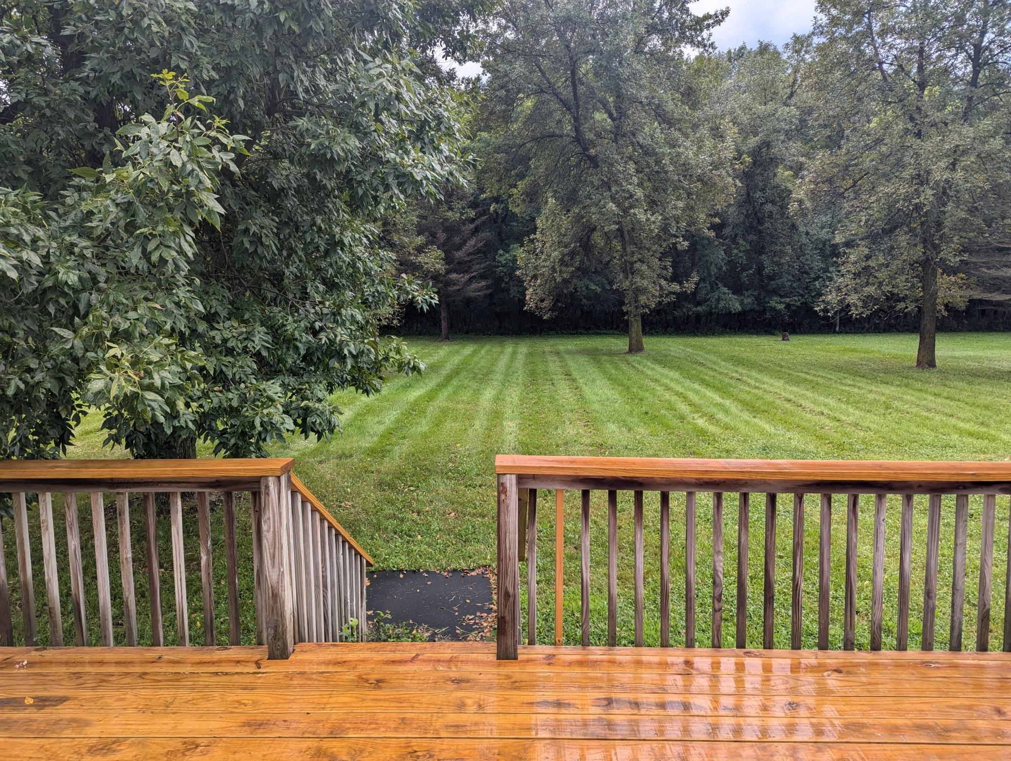 redwood deck 2.jpg