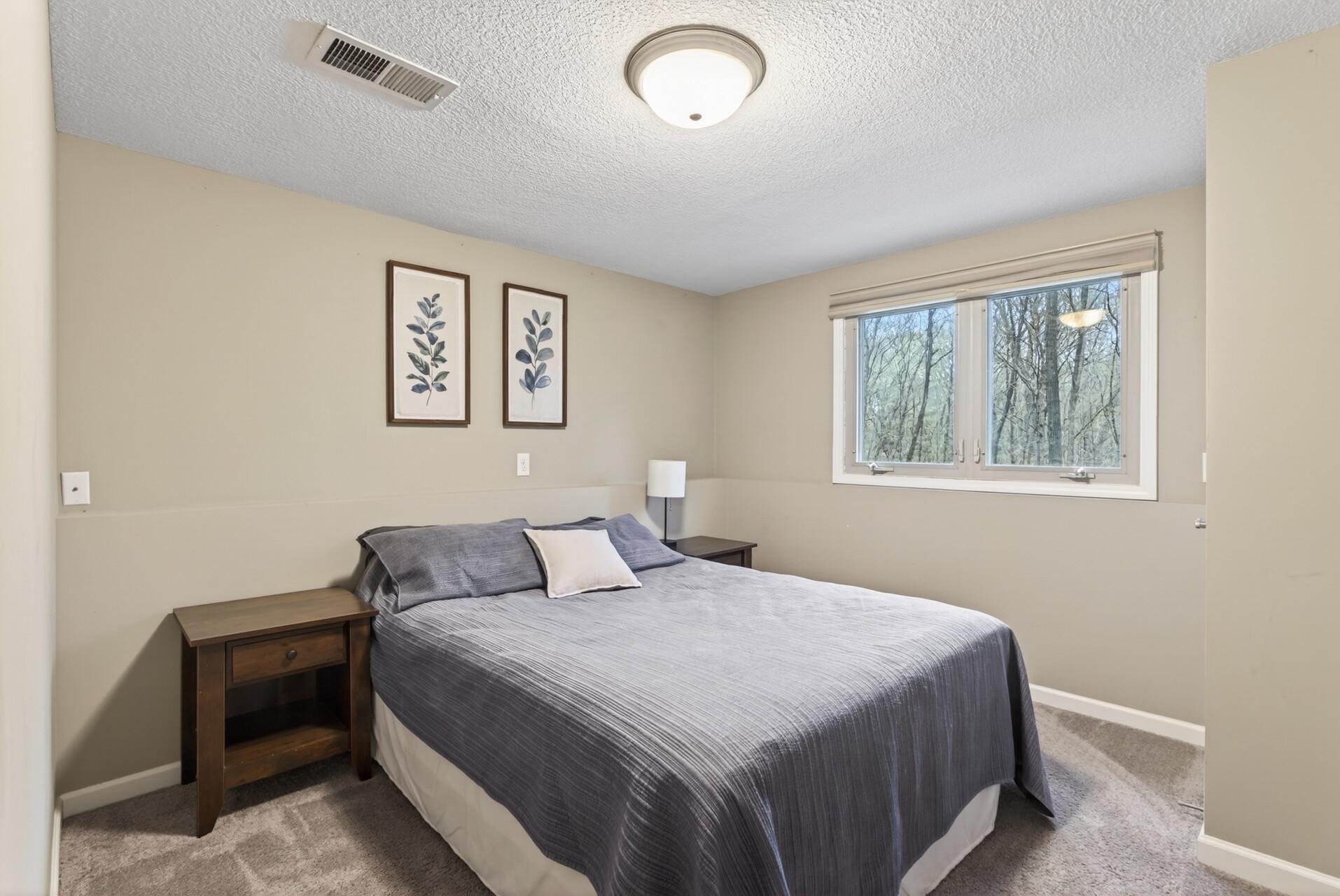 Lower Level Bedroom #3