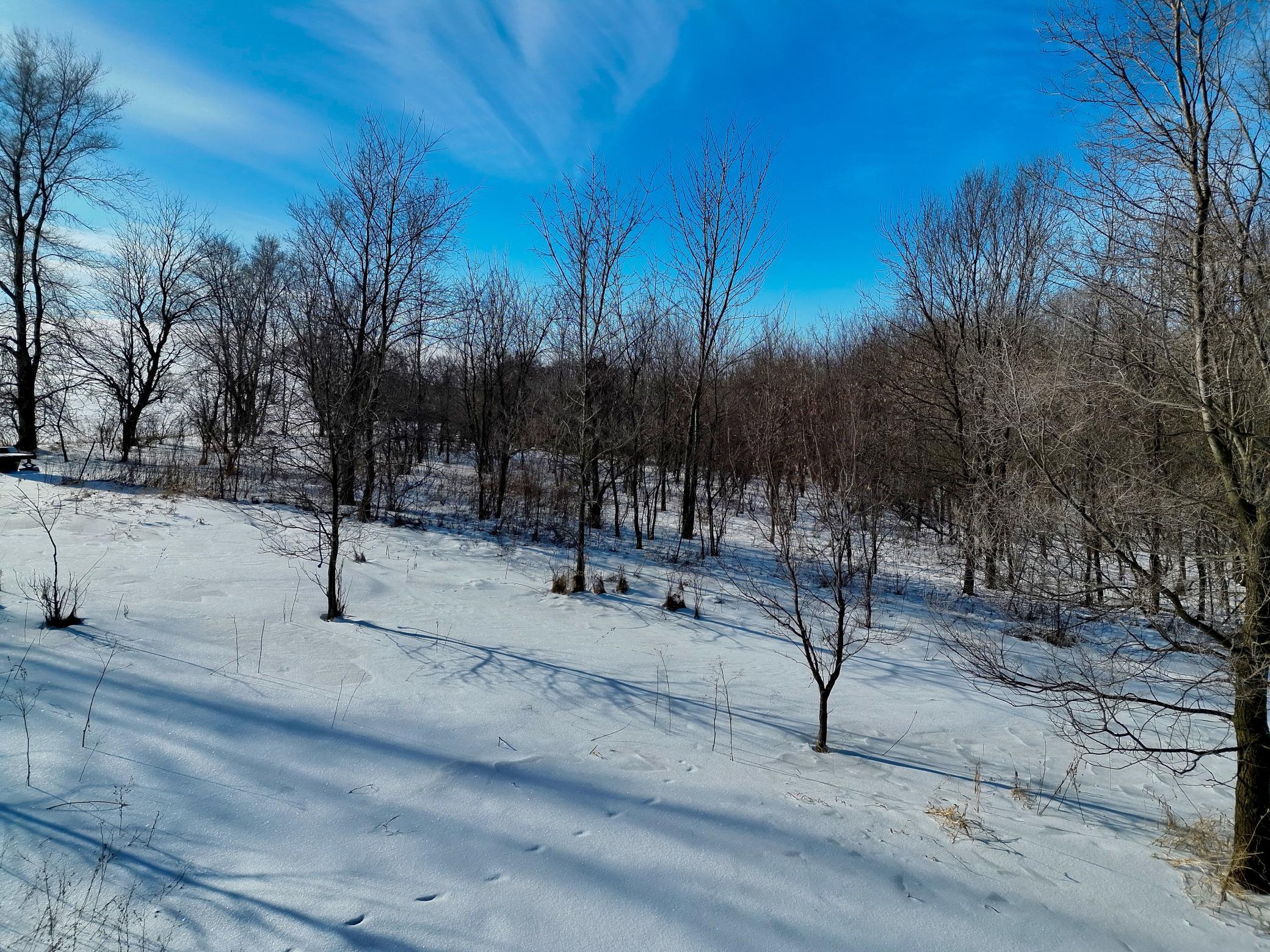 DJI_20260202132145_0050_V.JPG