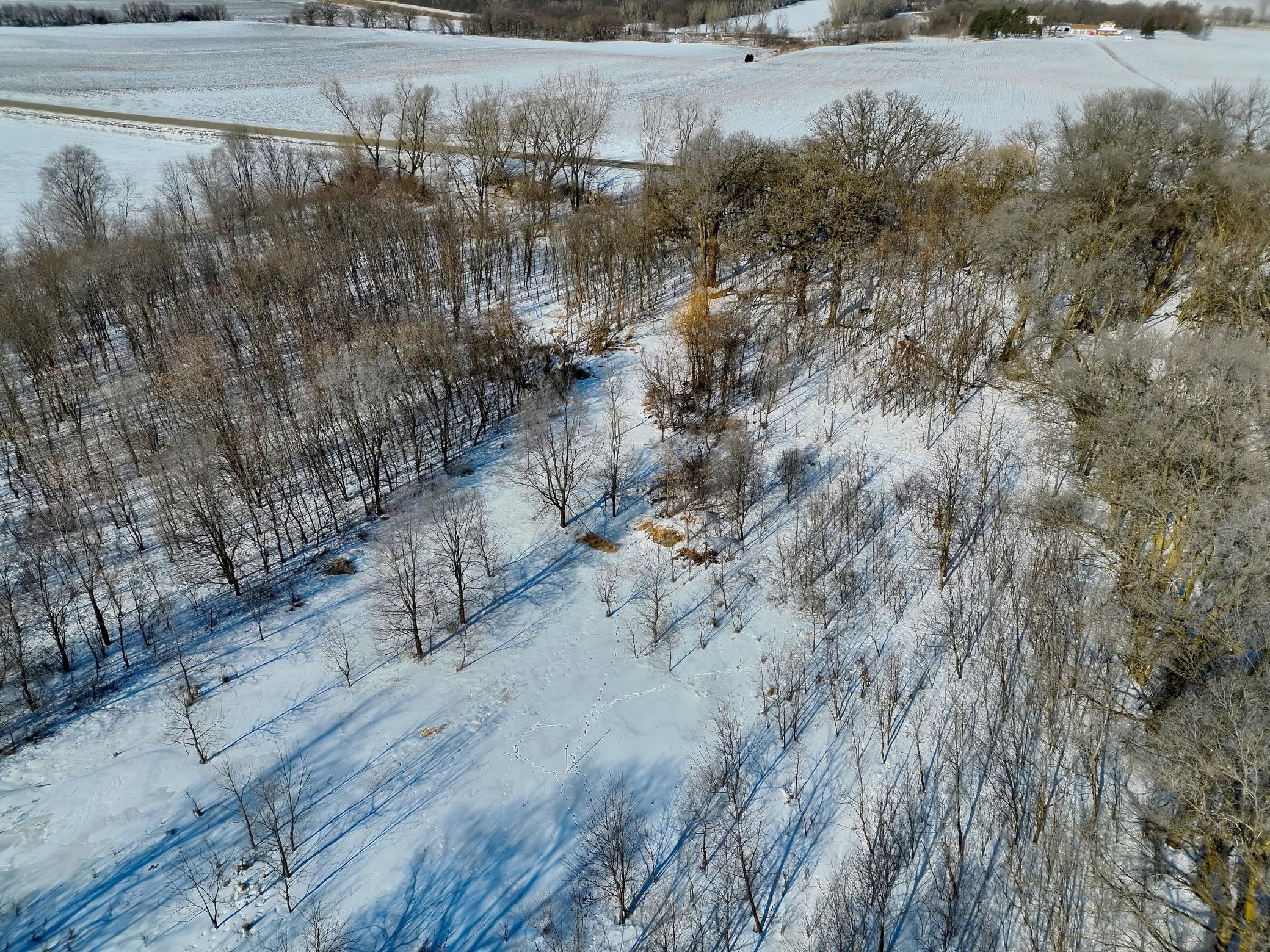 DJI_20260202131432_0032_V.JPG