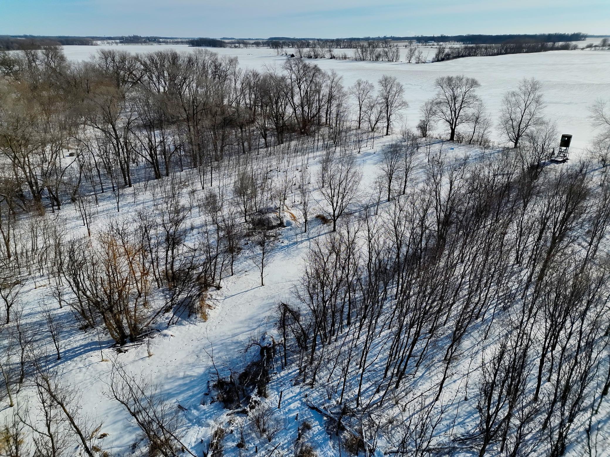 DJI_20260202131912_0044_V.JPG