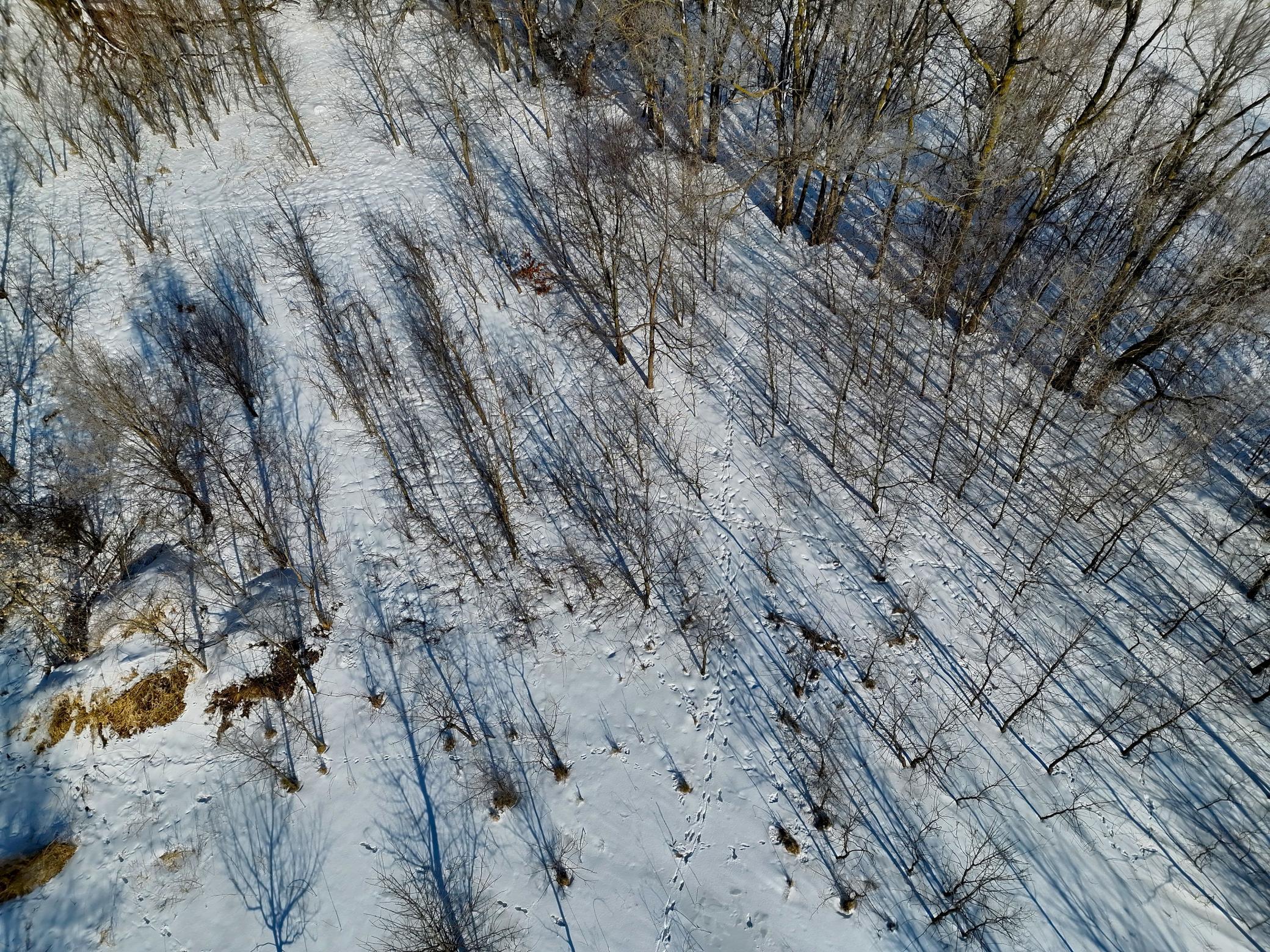 DJI_20260202132022_0046_V.JPG