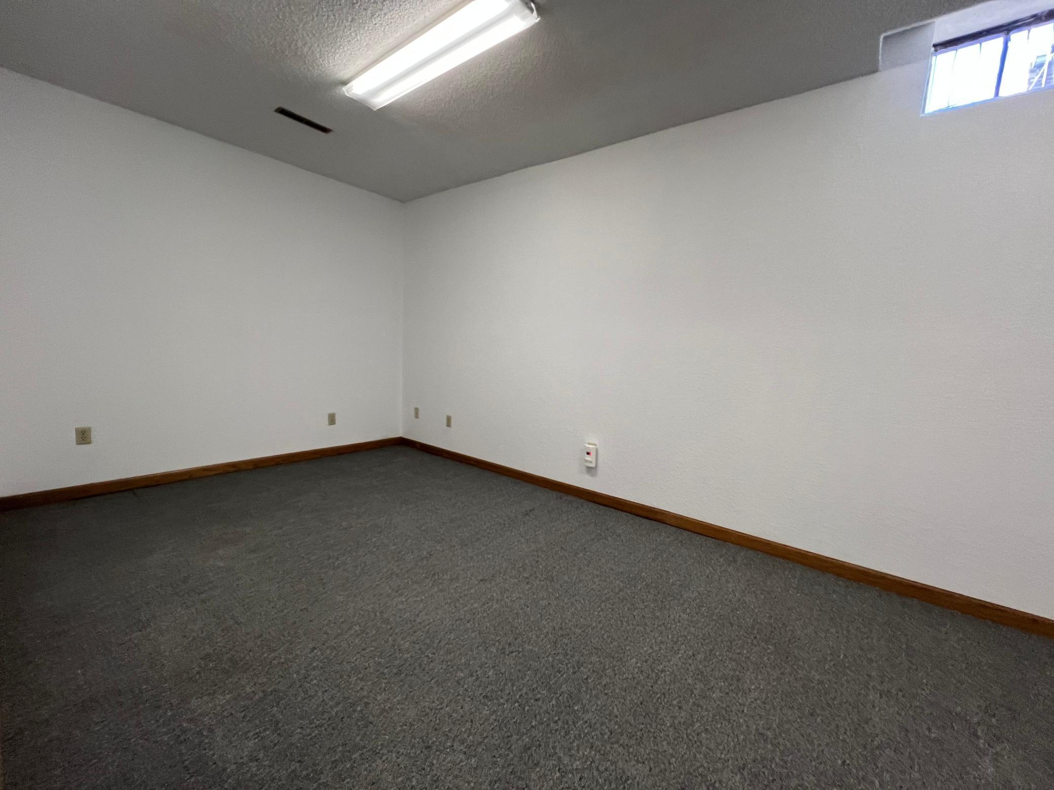 Basement (Bed 4 or Office 5)