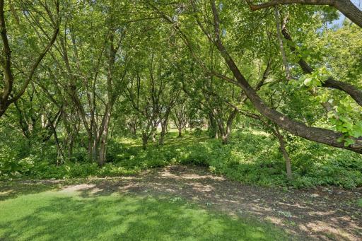 118 S Shannon Drive, Shakopee, MN 55379