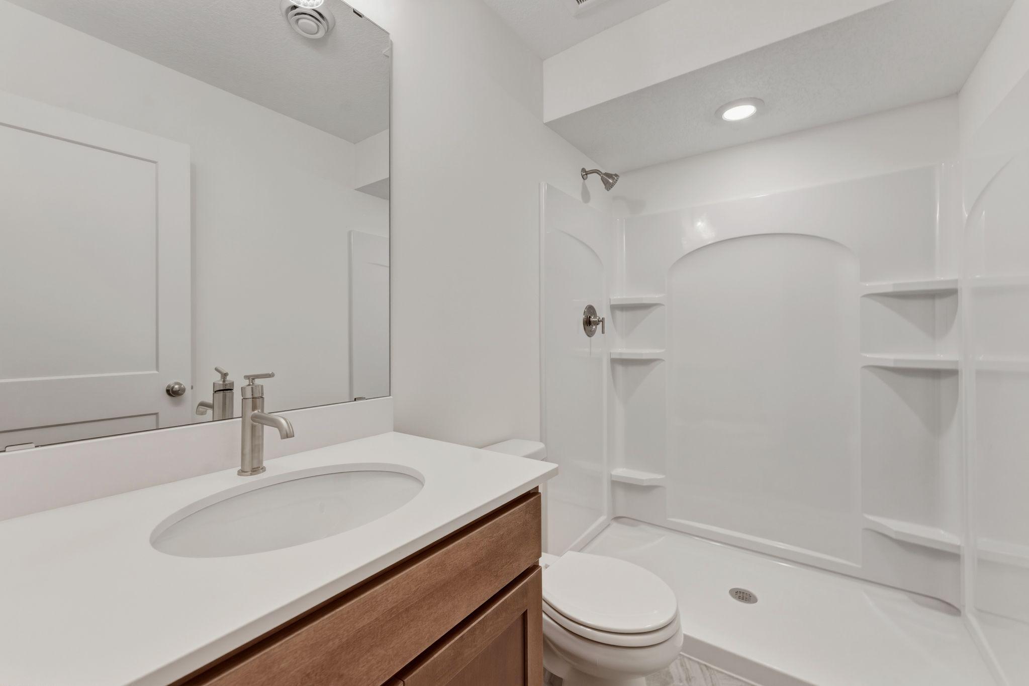 Lower level bathroom