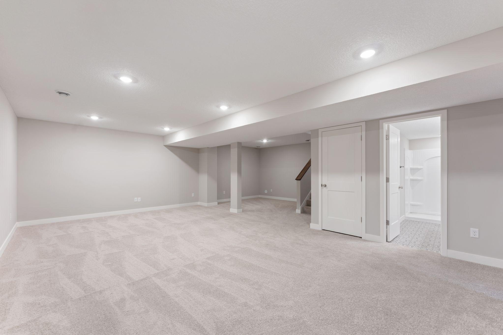 Large Recreation Room