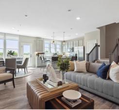 Wide open Family/Living/Dining/Kitchen