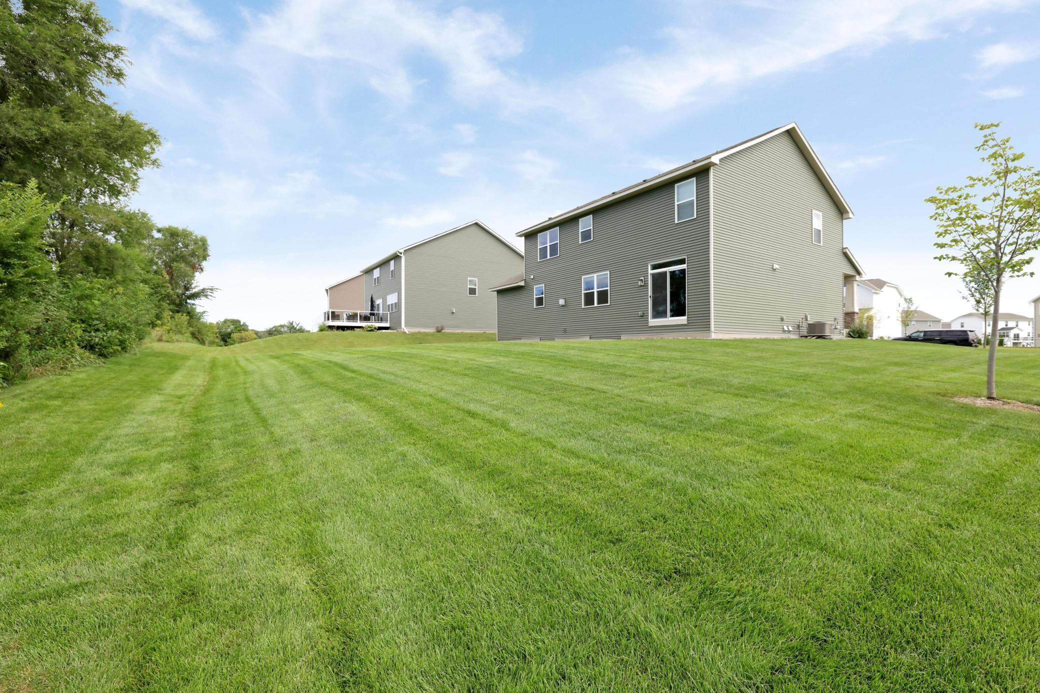 Backyard with trees.jpg
