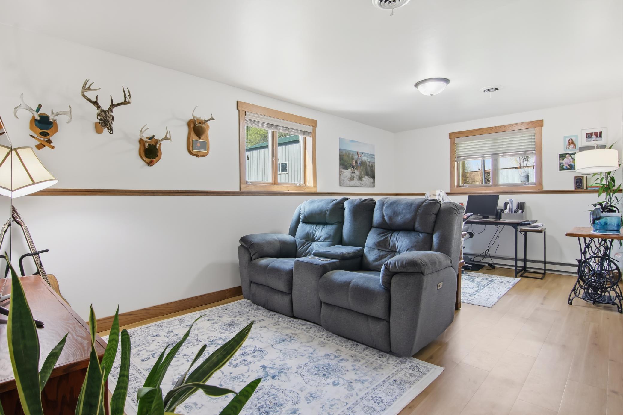 Lower Level Family Room