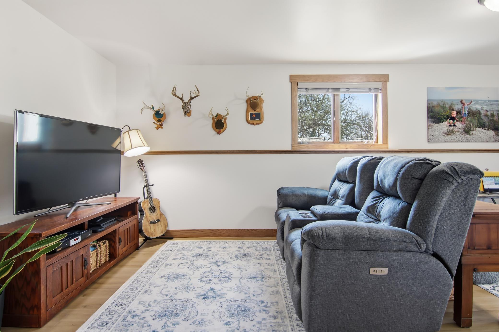 Lower Level Family Room