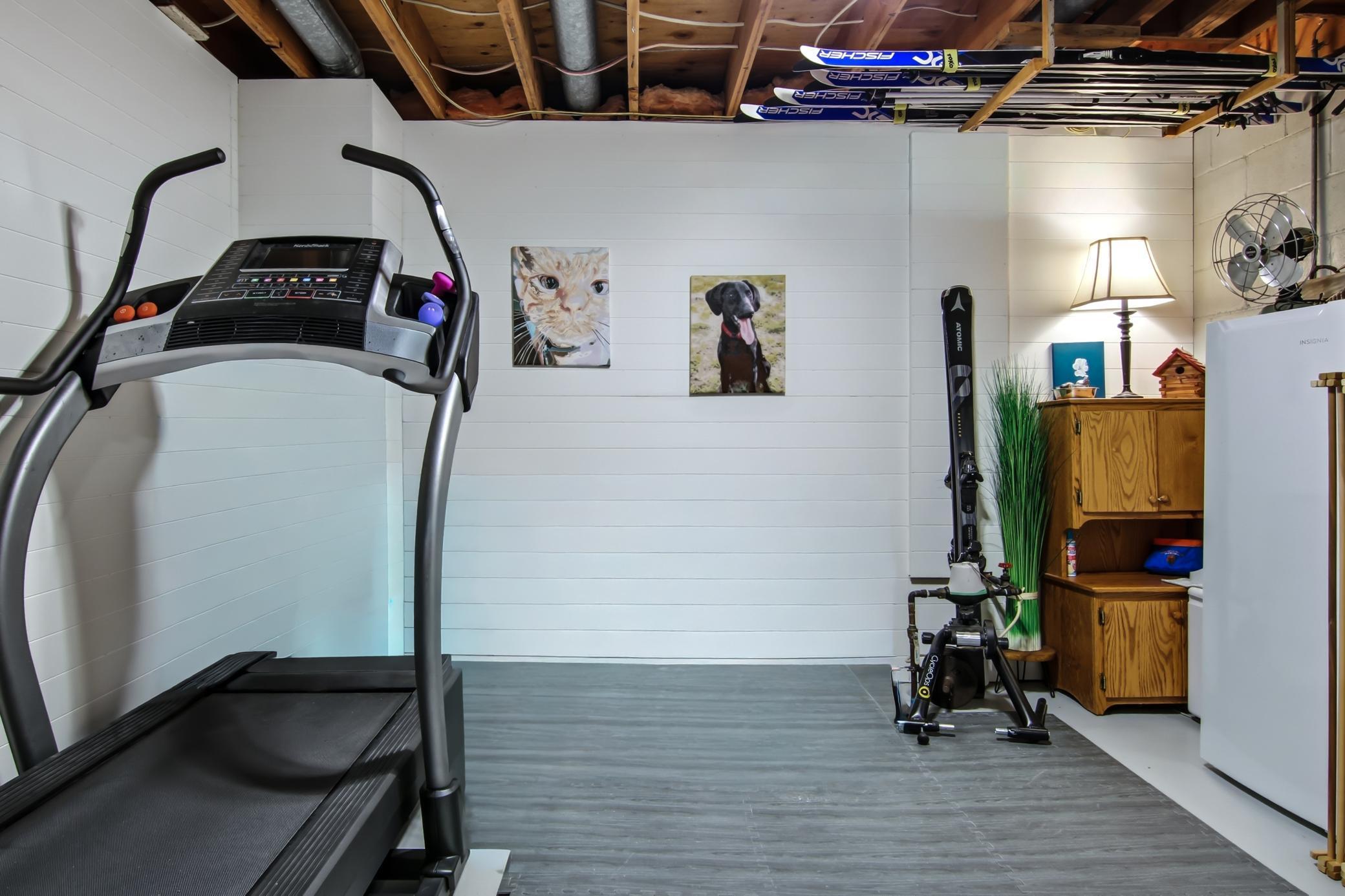 Lower Level Rec Room - Exercise Area