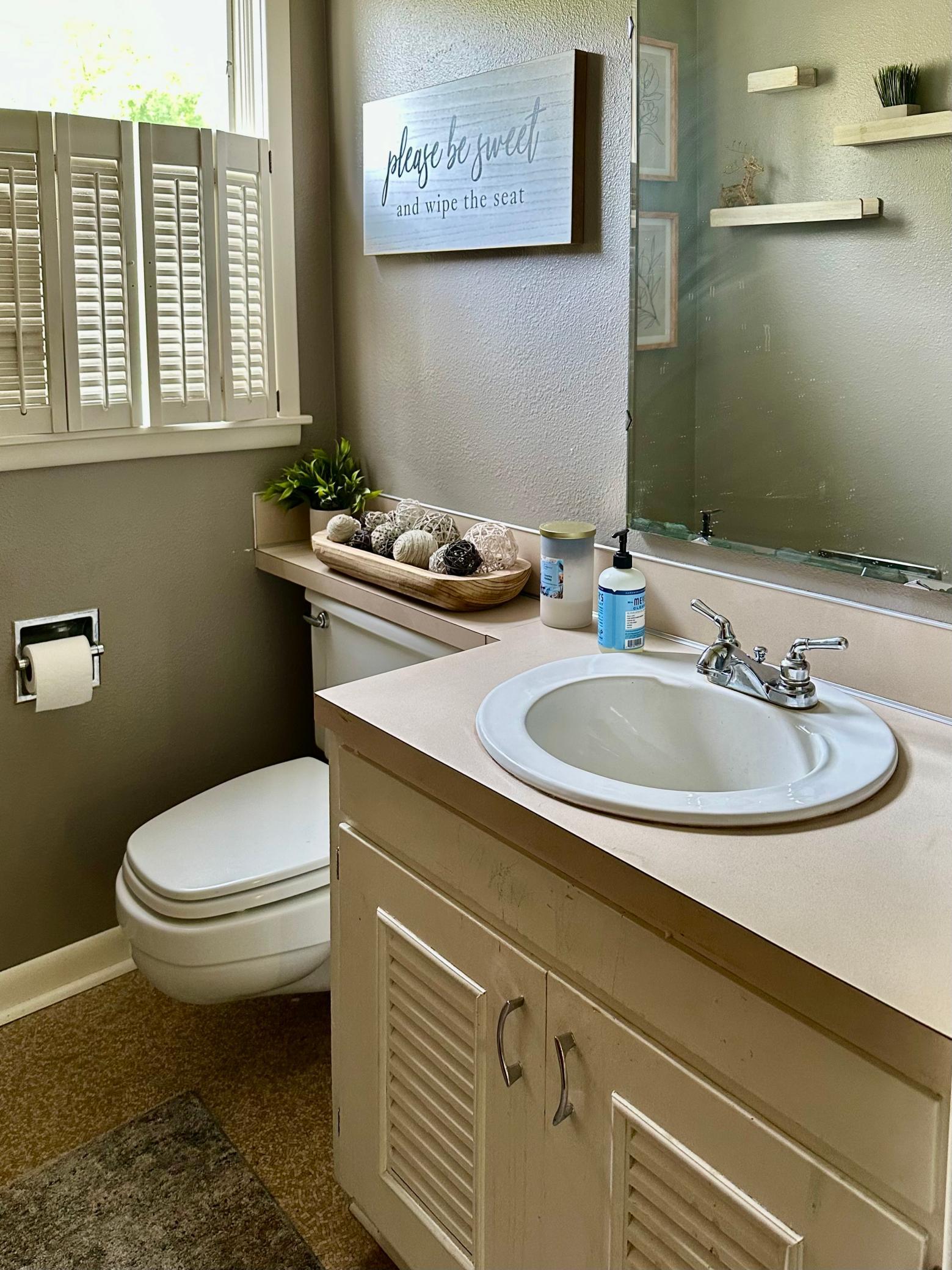 Lower level Bathroom