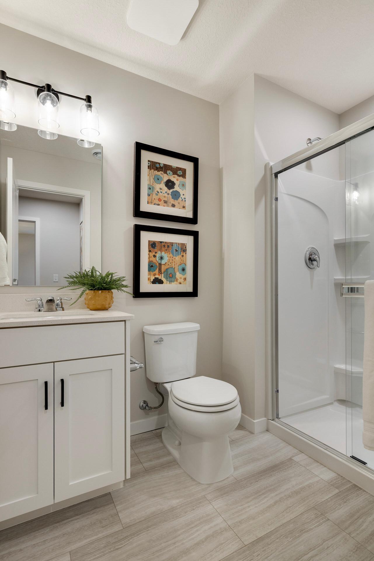 Lower Level Bathroom