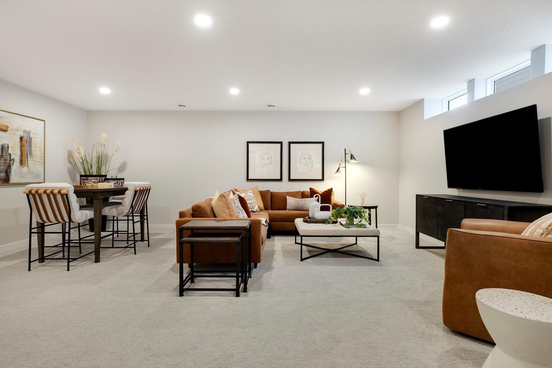 Lower Level Family Room