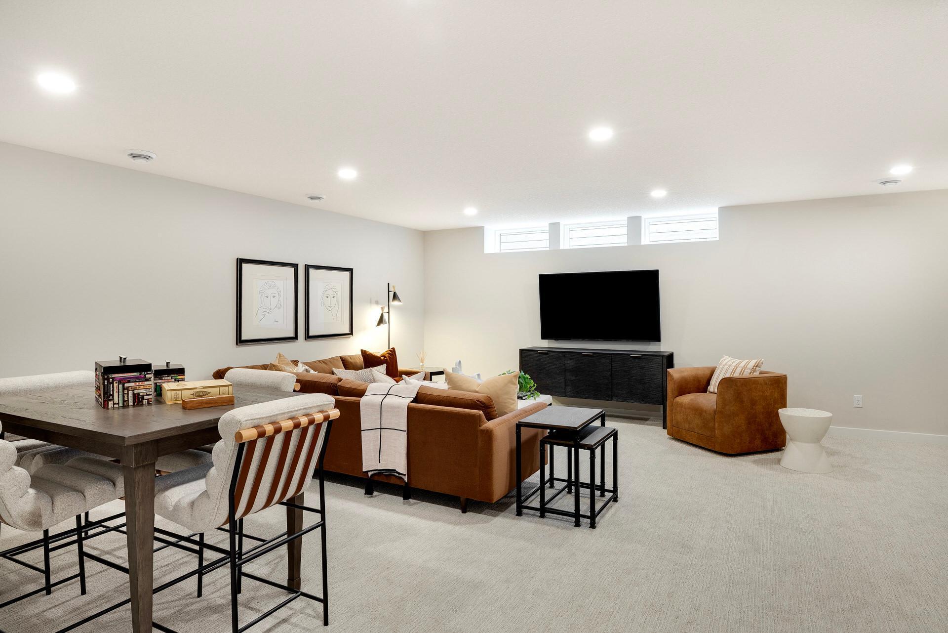 Lower Level Family Room