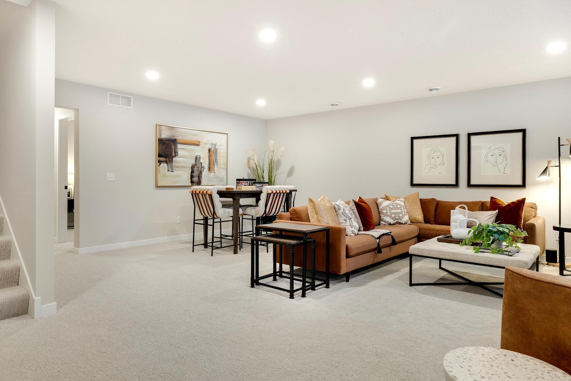 Lower Level Family Room