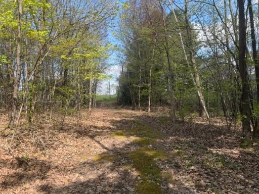 TBD 1st Street, Taylors Falls, MN 55084