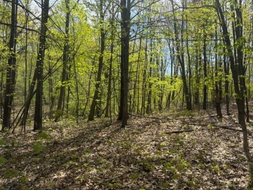TBD 1st Street, Taylors Falls, MN 55084