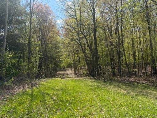 TBD 1st Street, Taylors Falls, MN 55084