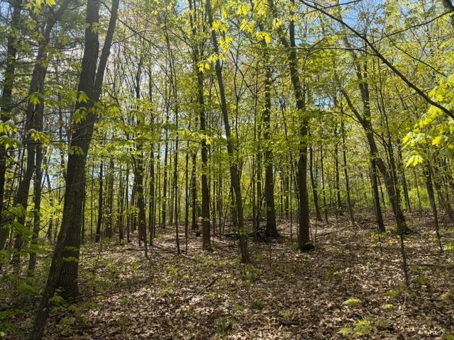 Property photo for TBD 1st Street, Taylors Falls, MN 55084