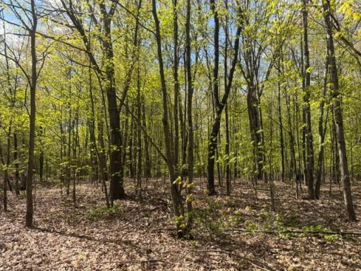 TBD 1st Street, Taylors Falls, MN 55084