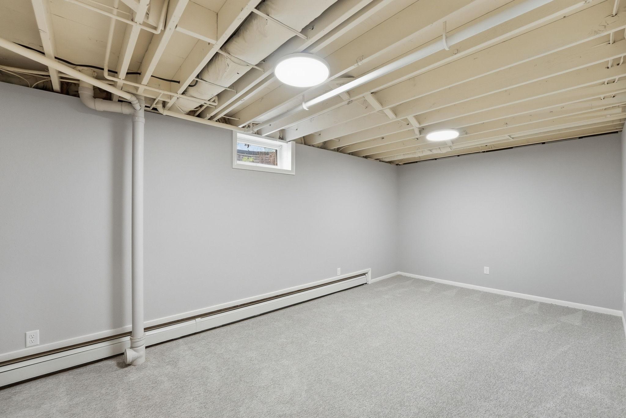 Lower level family room/flex space