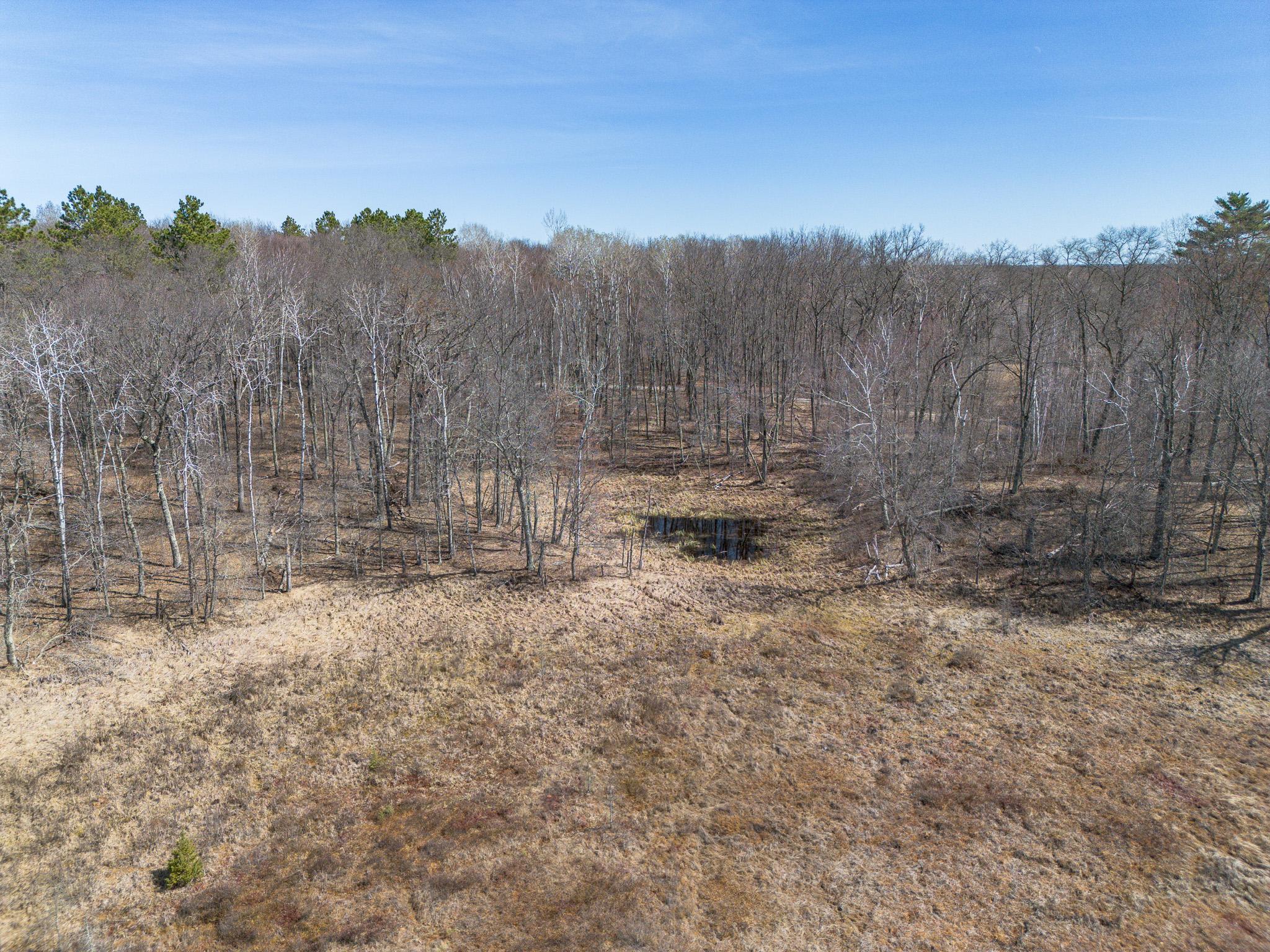 Small marshy areas here and there.