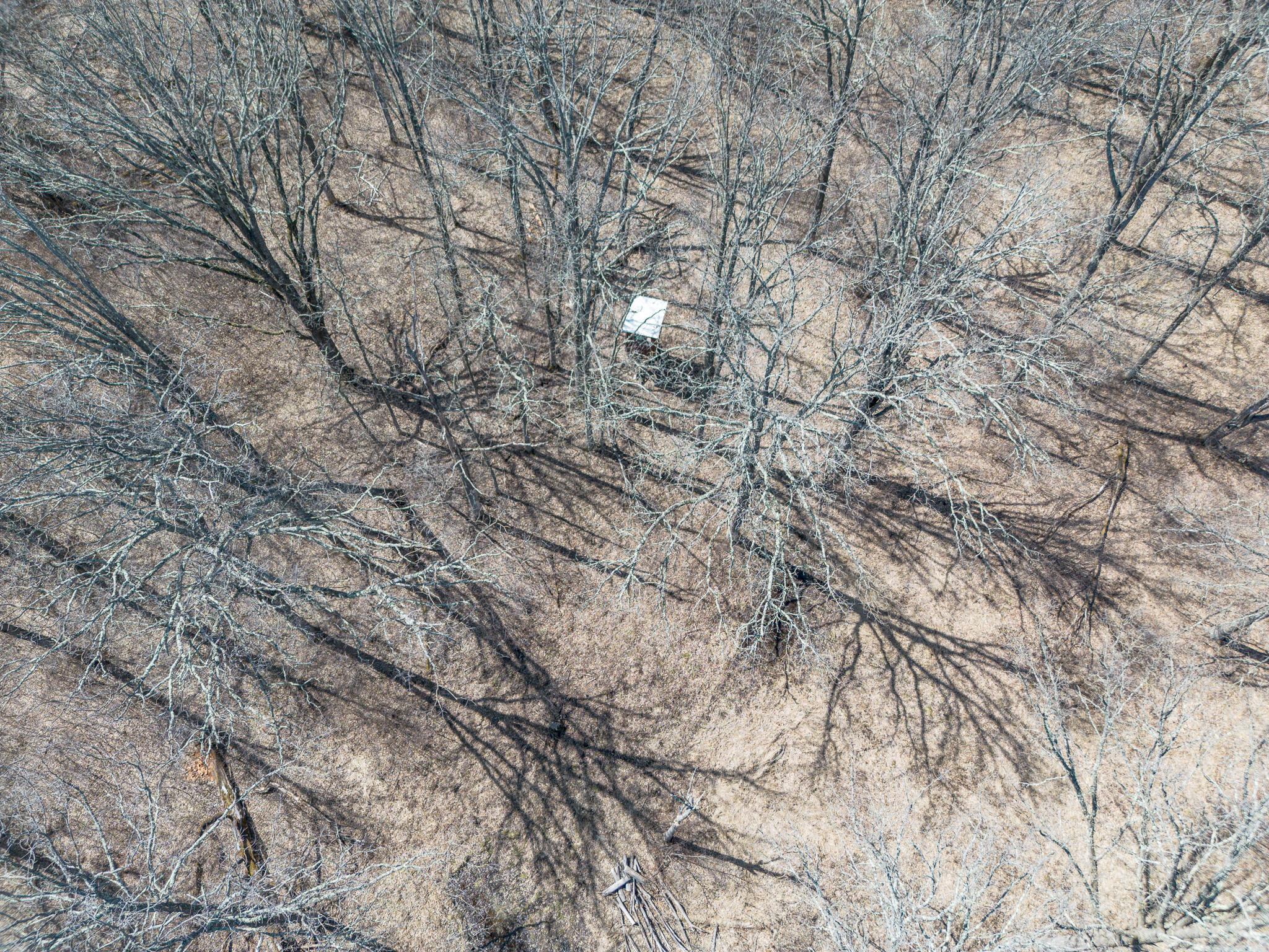 Hunting stand